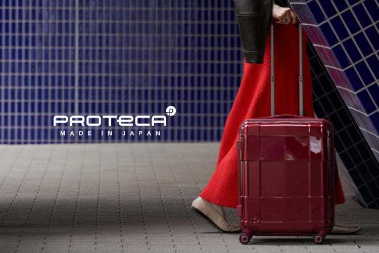 ACE  High Quality Bags & Travel Luggage